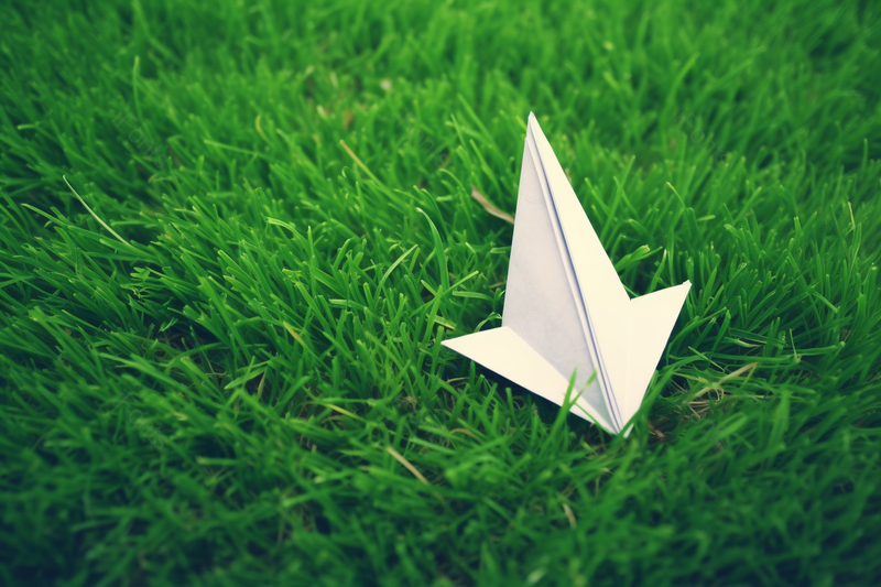 绿草地上的白色纸飞机童年游戏,高清,摄影图,摄影图片,图片大全,摄影图免费下载